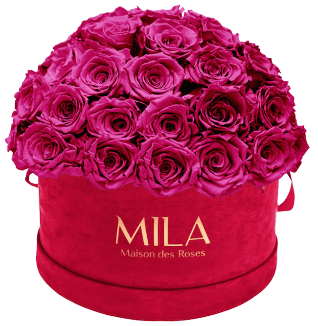 Mila Velour Large burgundy dome - MILA Maison Des Roses