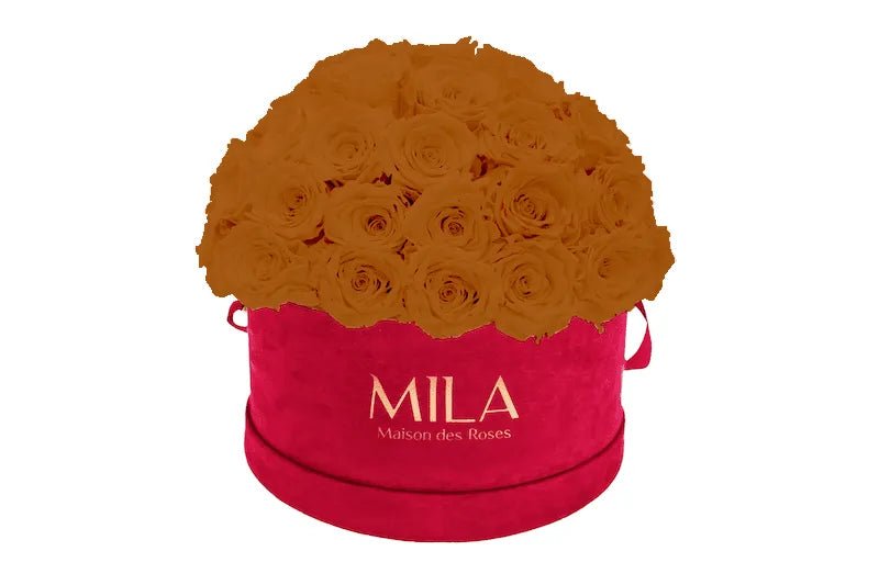 Mila Velour Large burgundy dome - Mila Rose