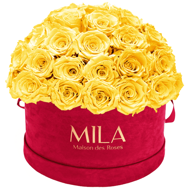 Mila Velour Large burgundy dome - MILA Maison Des Roses