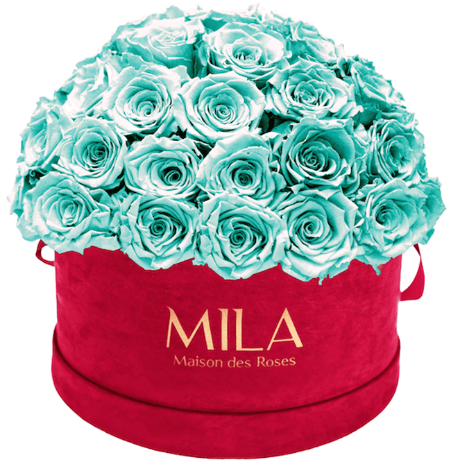 Mila Velour Large burgundy dome - MILA Maison Des Roses