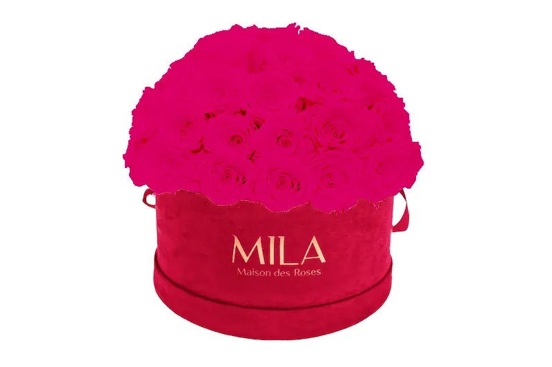 Mila Velour Large burgundy dome - Mila Rose