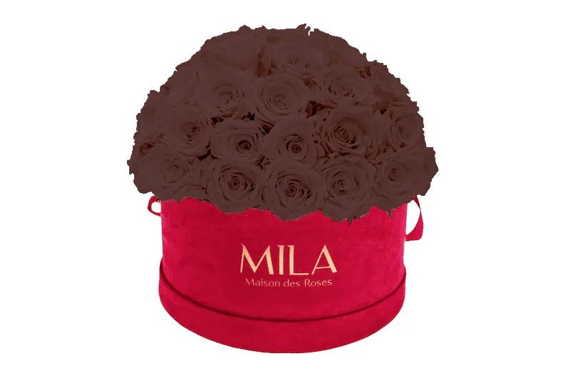 Mila Velour Large burgundy dome - Mila Rose
