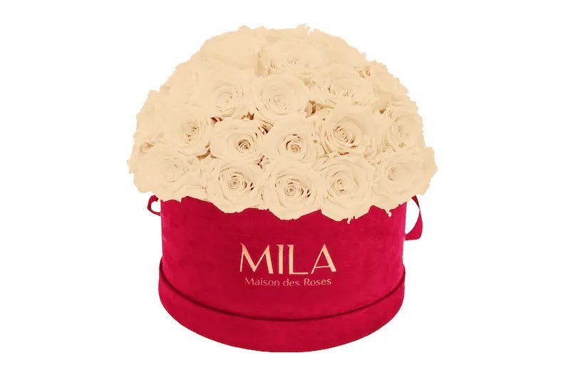 Mila Velour Large burgundy dome - Mila Rose