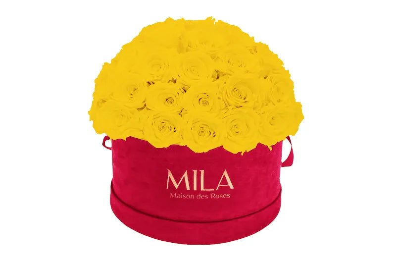 Mila Velour Large burgundy dome - Mila Rose