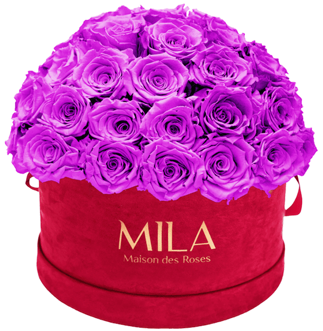 Mila Velour Large burgundy dome - MILA Maison Des Roses