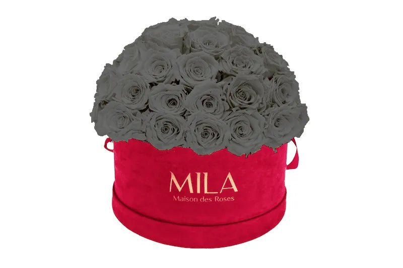 Mila Velour Large burgundy dome - Mila Rose