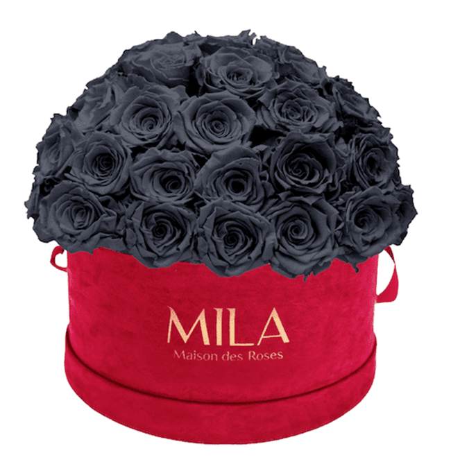 Mila Velour Large burgundy dome - MILA Maison Des Roses
