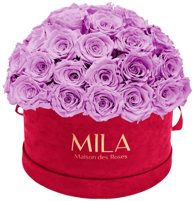 Mila Velour Large burgundy dome - MILA Maison Des Roses