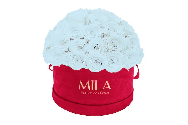 Mila Velour Large burgundy dome - Mila Rose