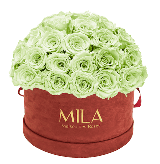 Mila Velour Large burgundy dome - MILA Maison Des Roses