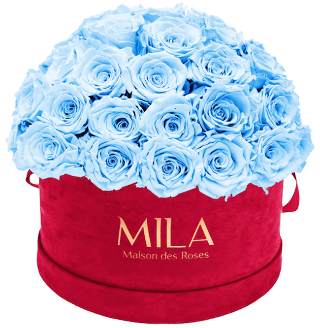 Mila Velour Large burgundy dome - MILA Maison Des Roses