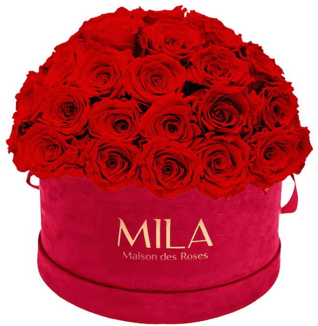 Mila Velour Large burgundy dome - MILA Maison Des Roses