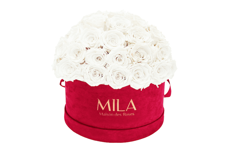 Mila Velour Large burgundy dome - MILA Maison Des Roses