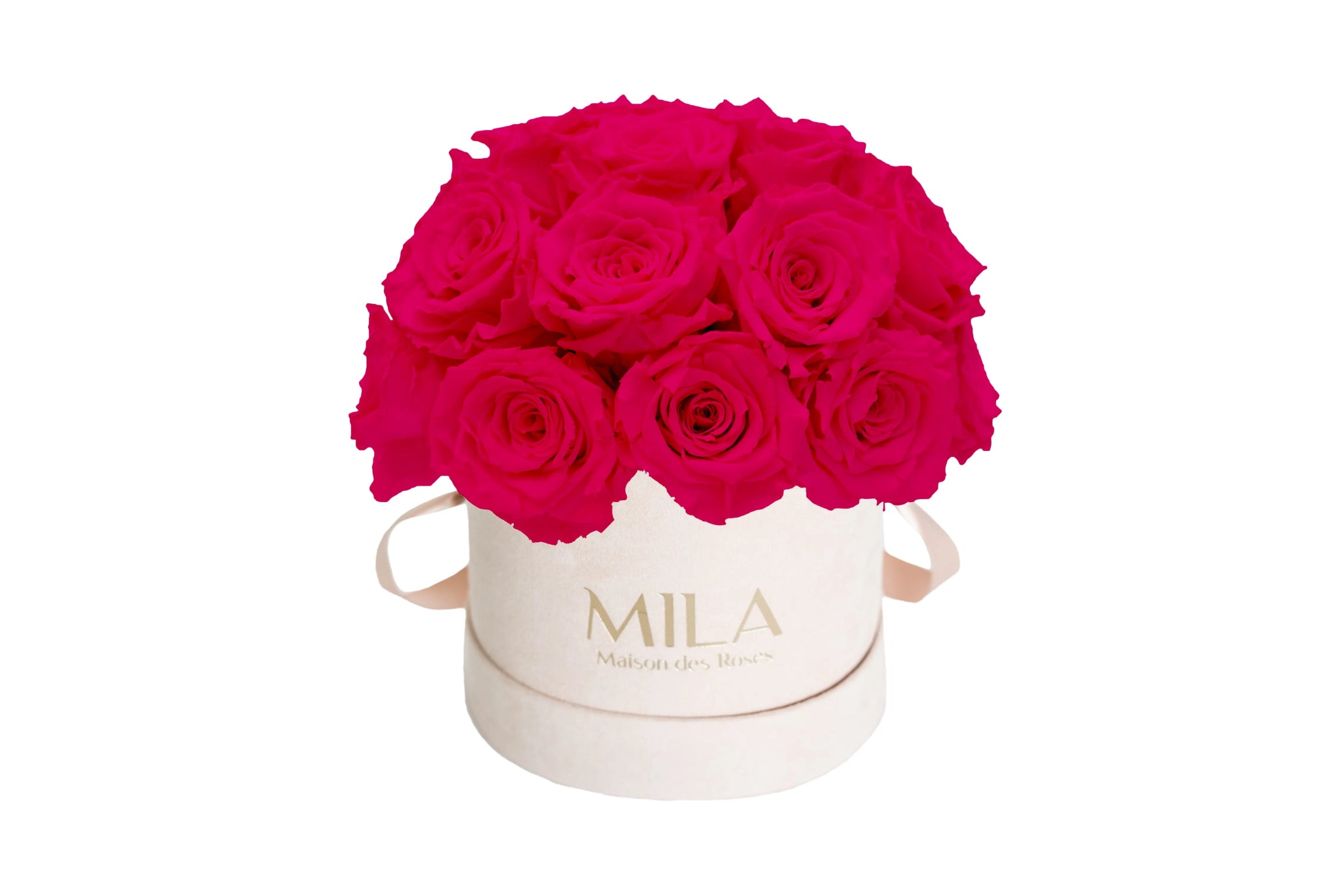 Mila Velours Small Dome Nude - Mila Rose