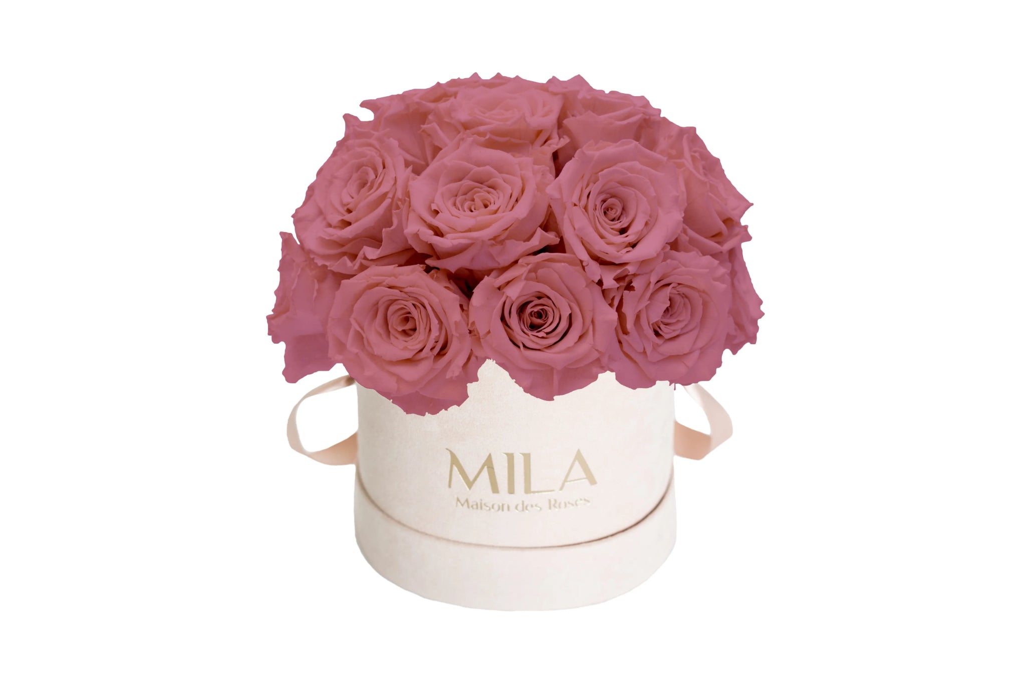 Mila Velours Small Dome Nude - Mila Rose