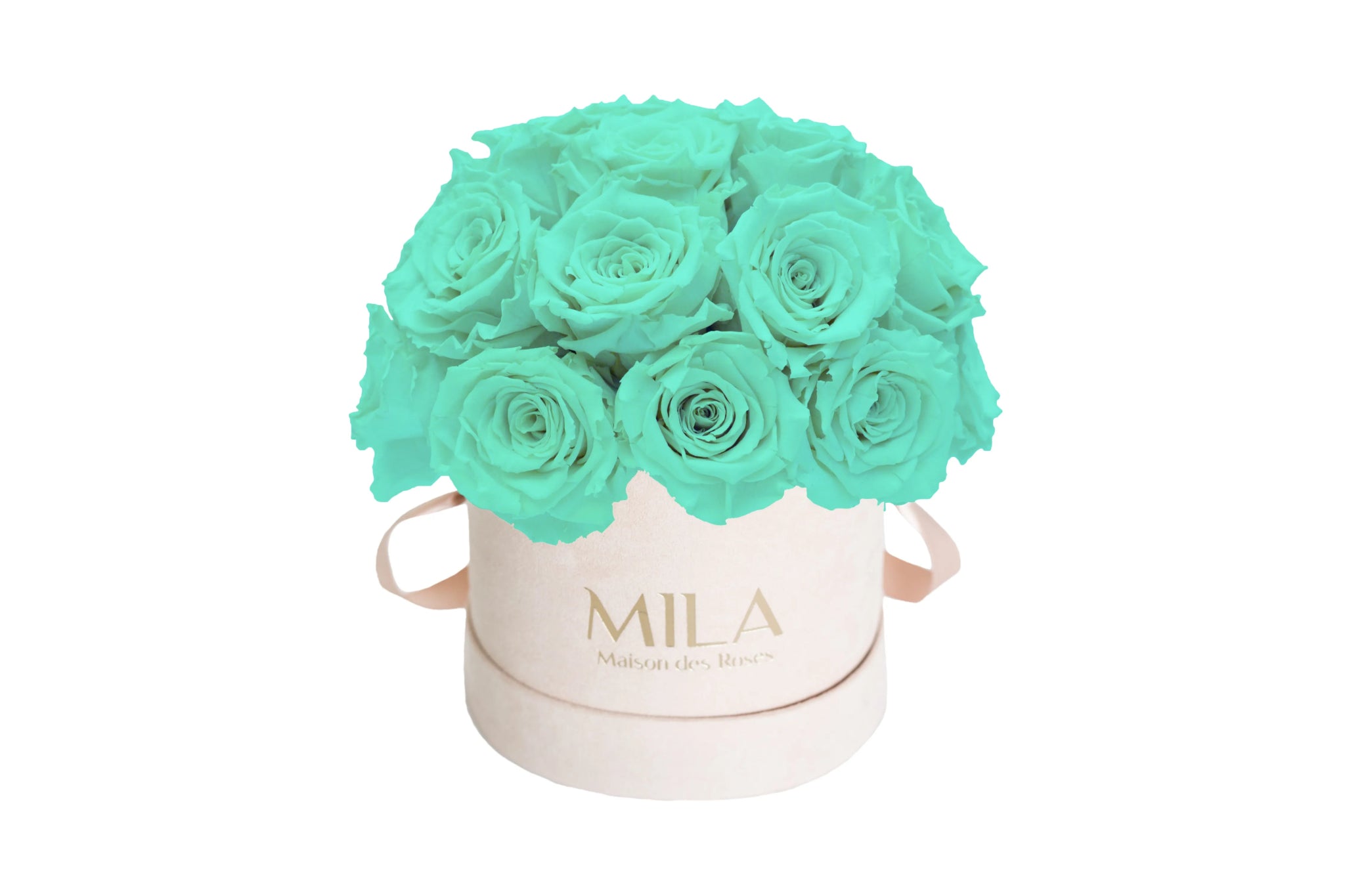 Mila Velours Small Dome Nude - Mila Rose