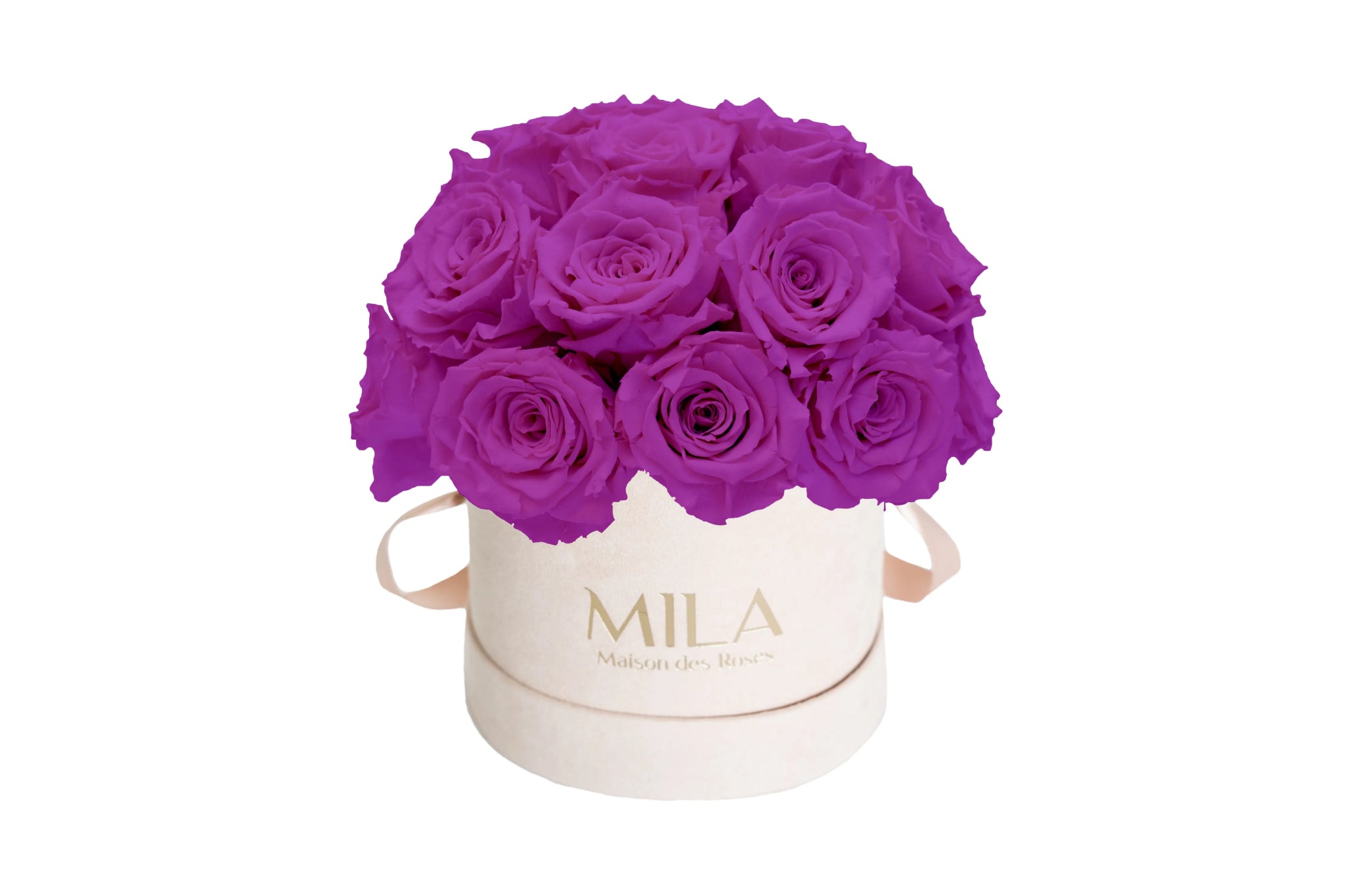 Mila Velours Small Dome Nude - Mila Rose