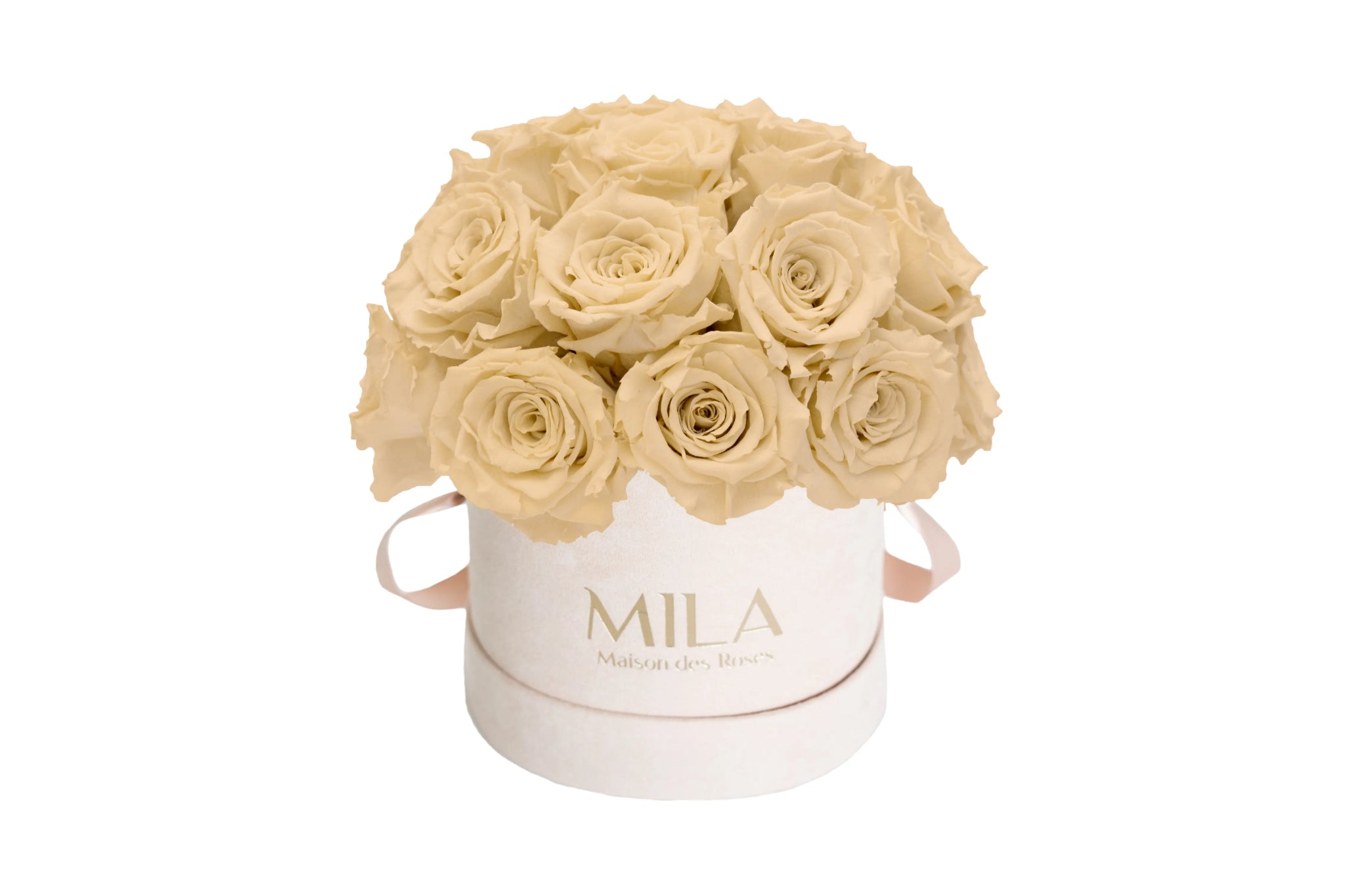 Mila Velours Small Dome Nude - Mila Rose