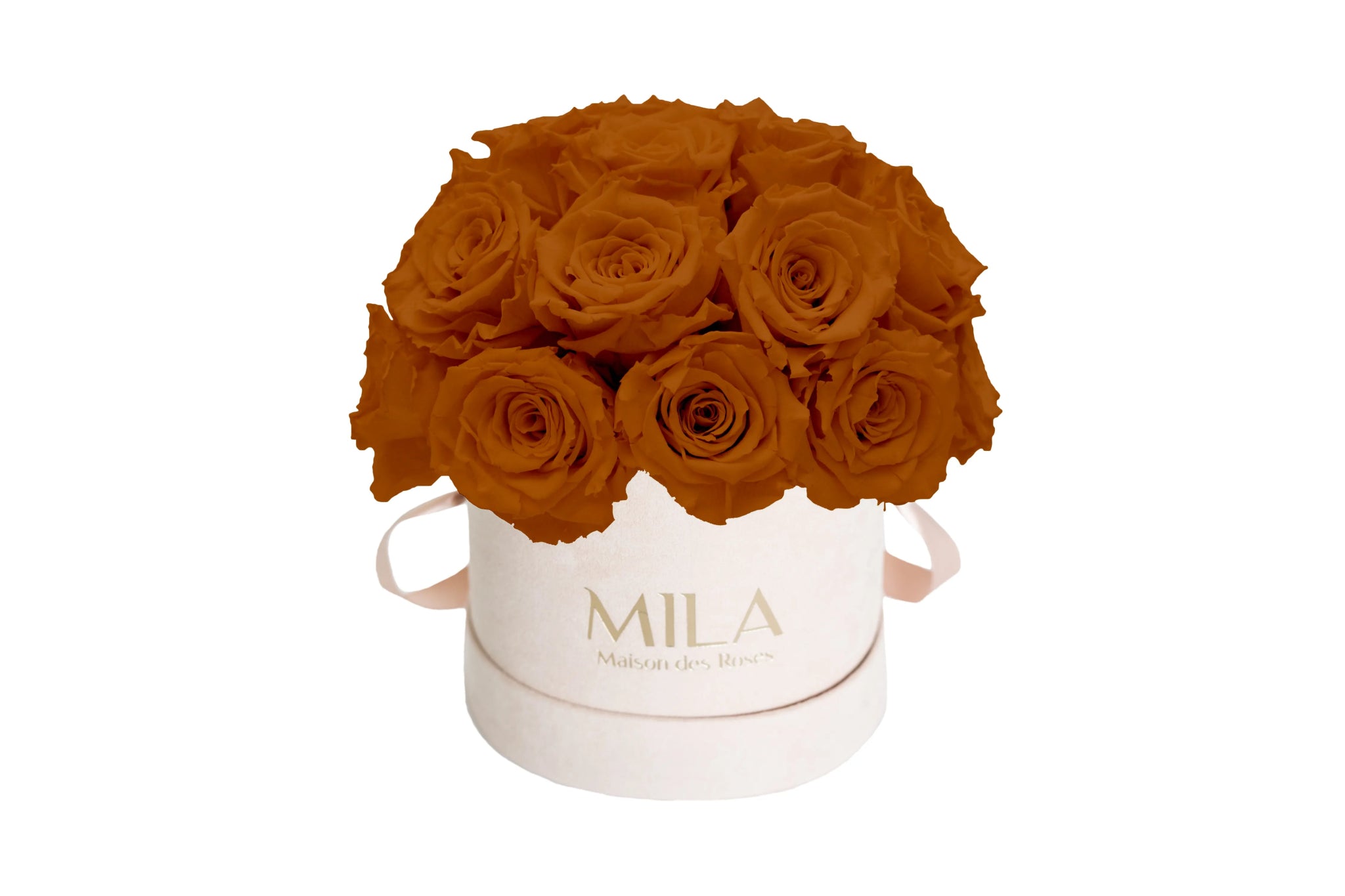 Mila Velours Small Dome Nude - Mila Rose