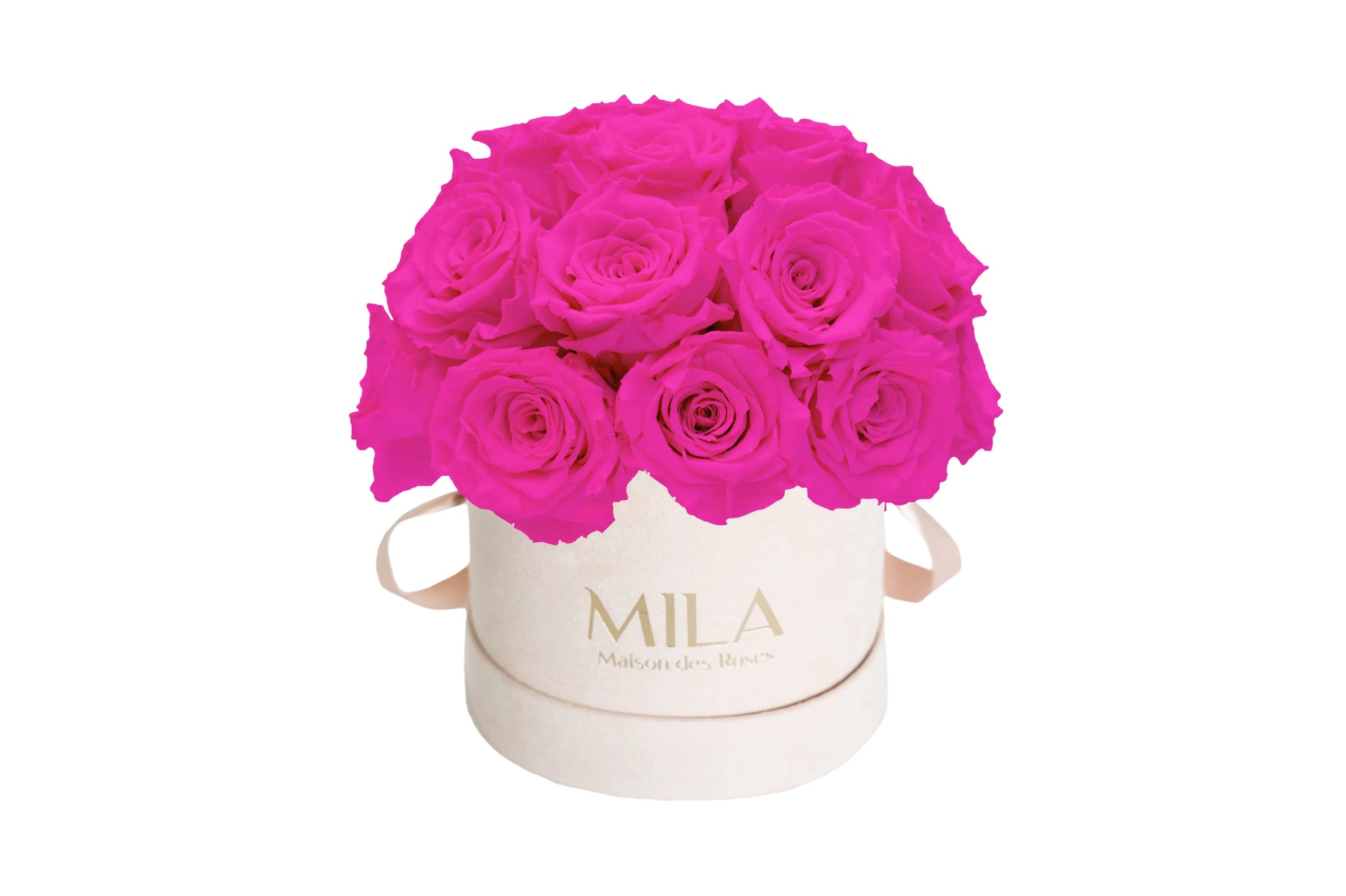 Mila Velours Small Dome Nude - Mila Rose