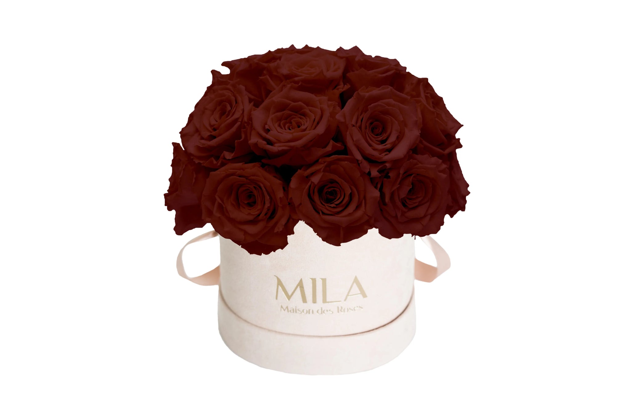 Mila Velours Small Dome Nude - Mila Rose