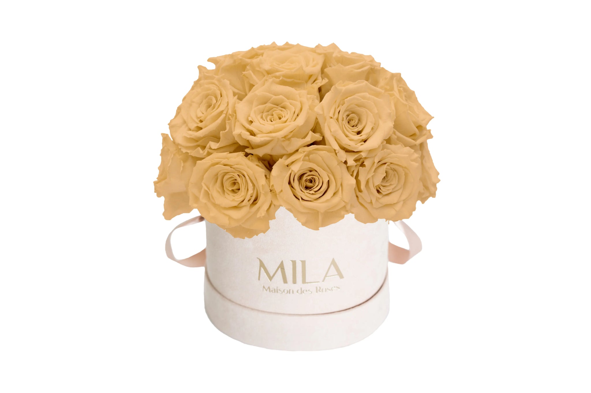 Mila Velours Small Dome Nude - Mila Rose