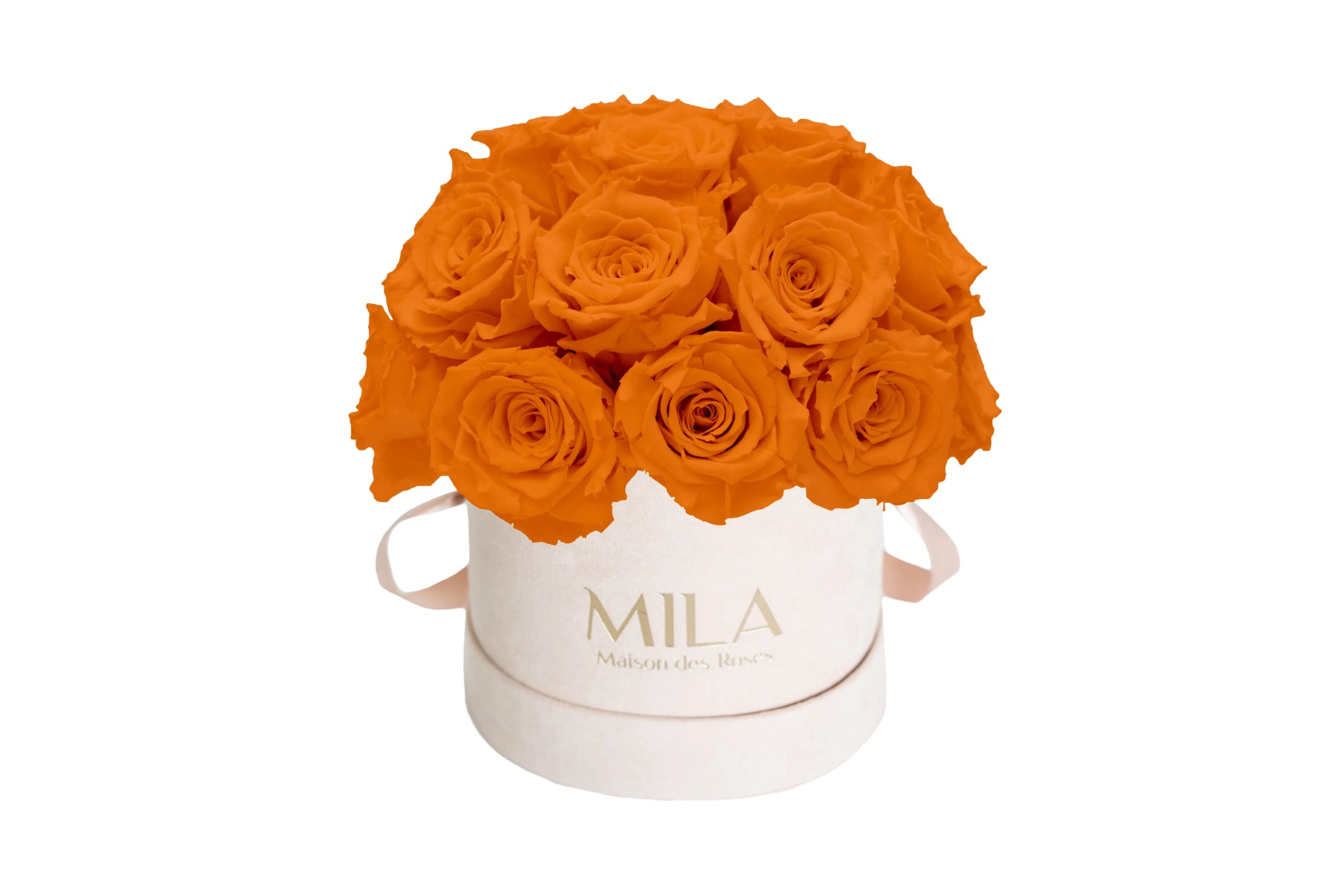 Mila Velours Small Dome Nude - Mila Rose