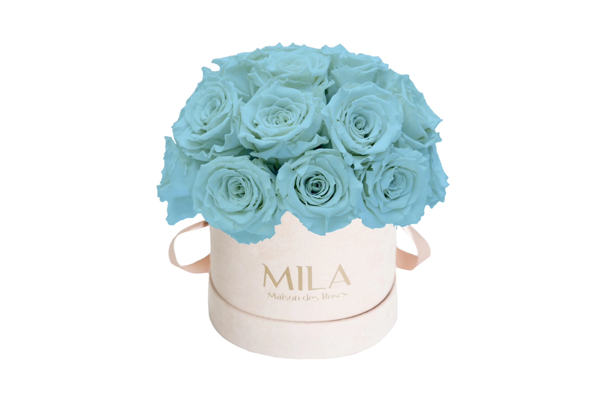 Mila Velours Small Dome Nude - Mila Rose