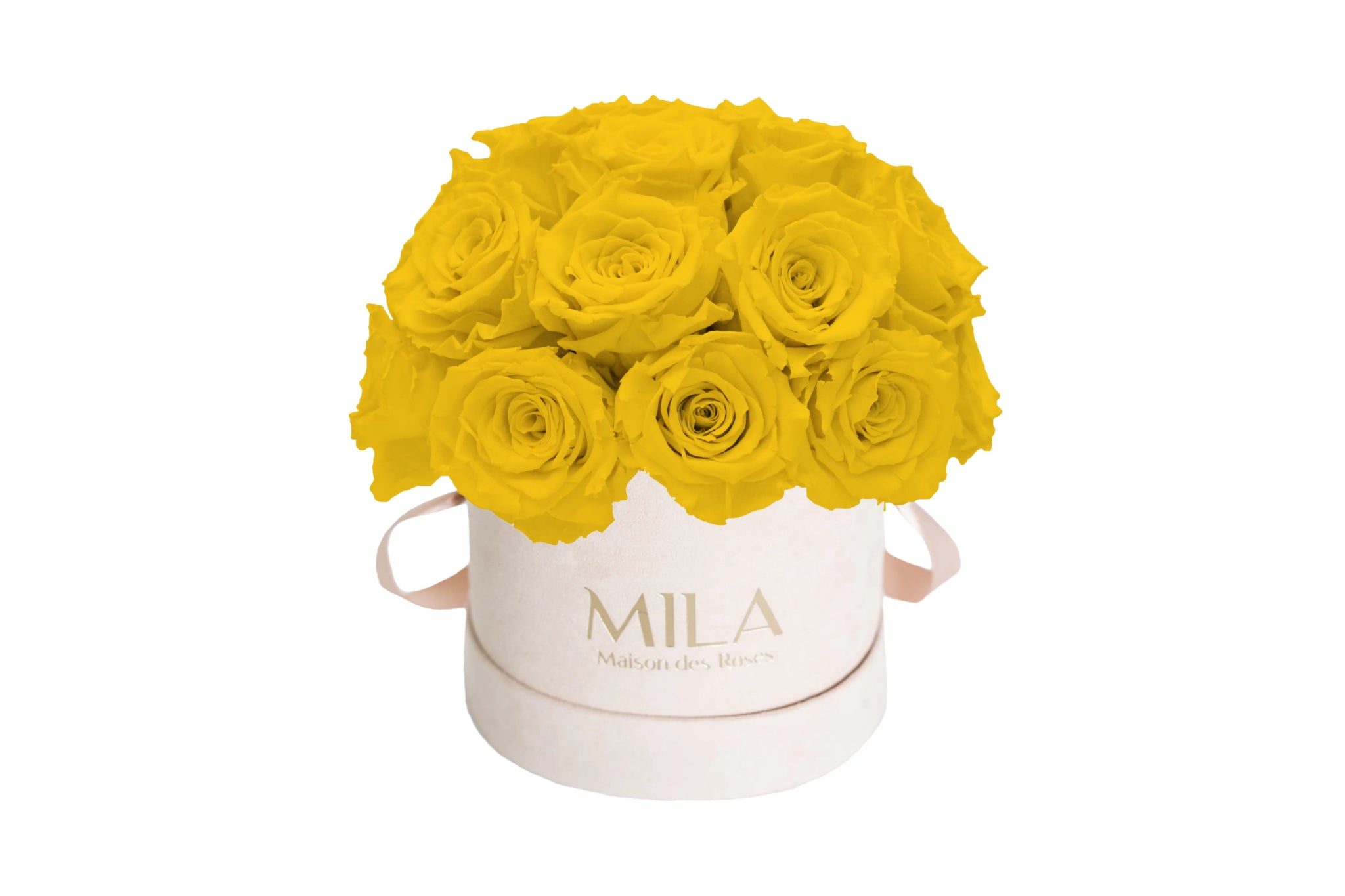 Mila Velours Small Dome Nude - Mila Rose