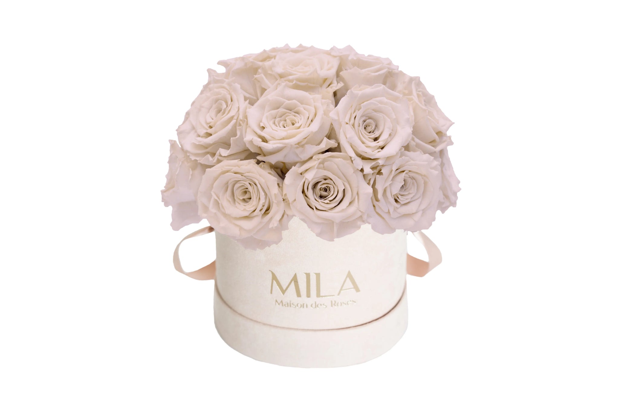 Mila Velours Small Dome Nude - Mila Rose