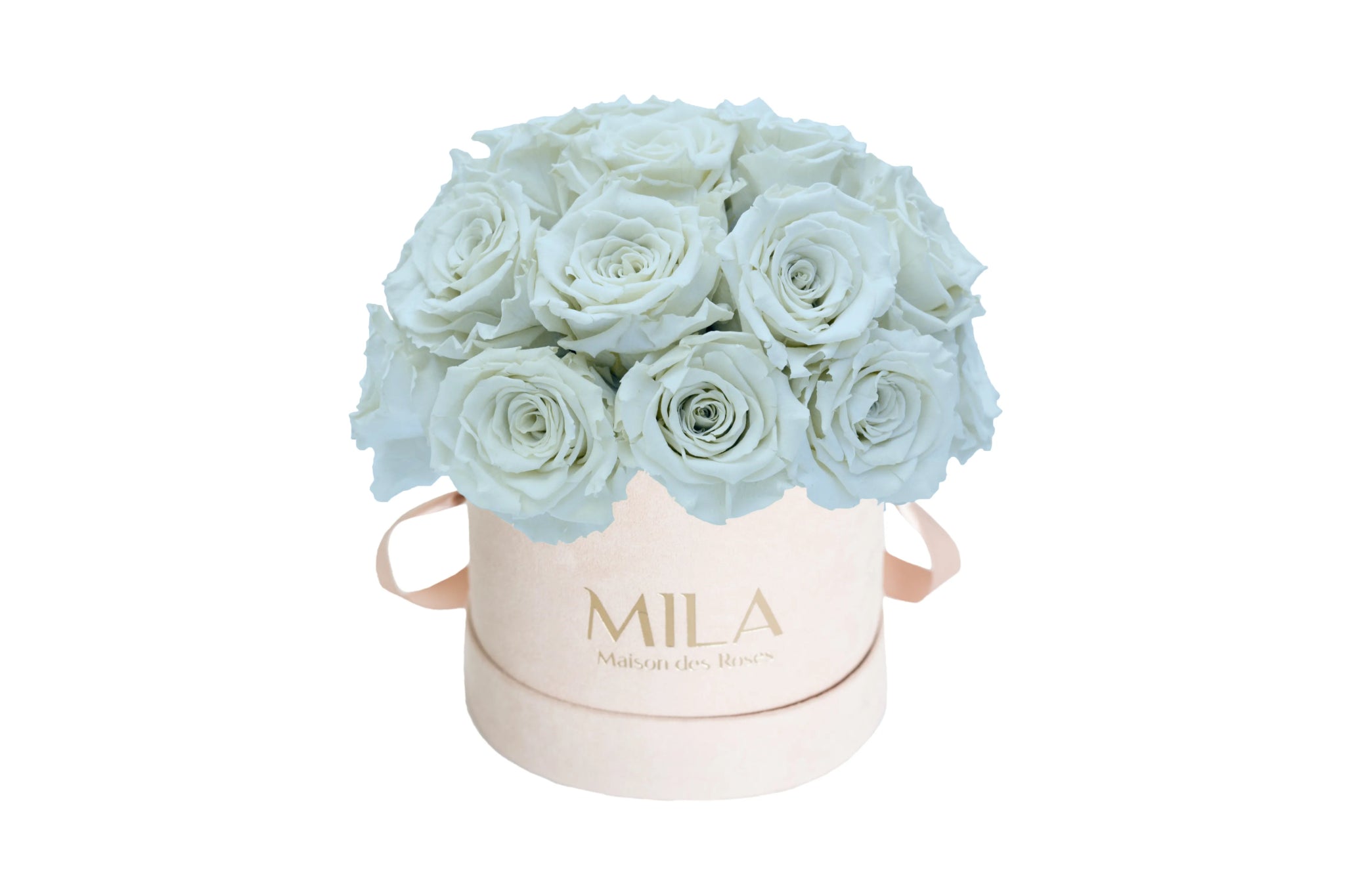 Mila Velours Small Dome Nude - Mila Rose