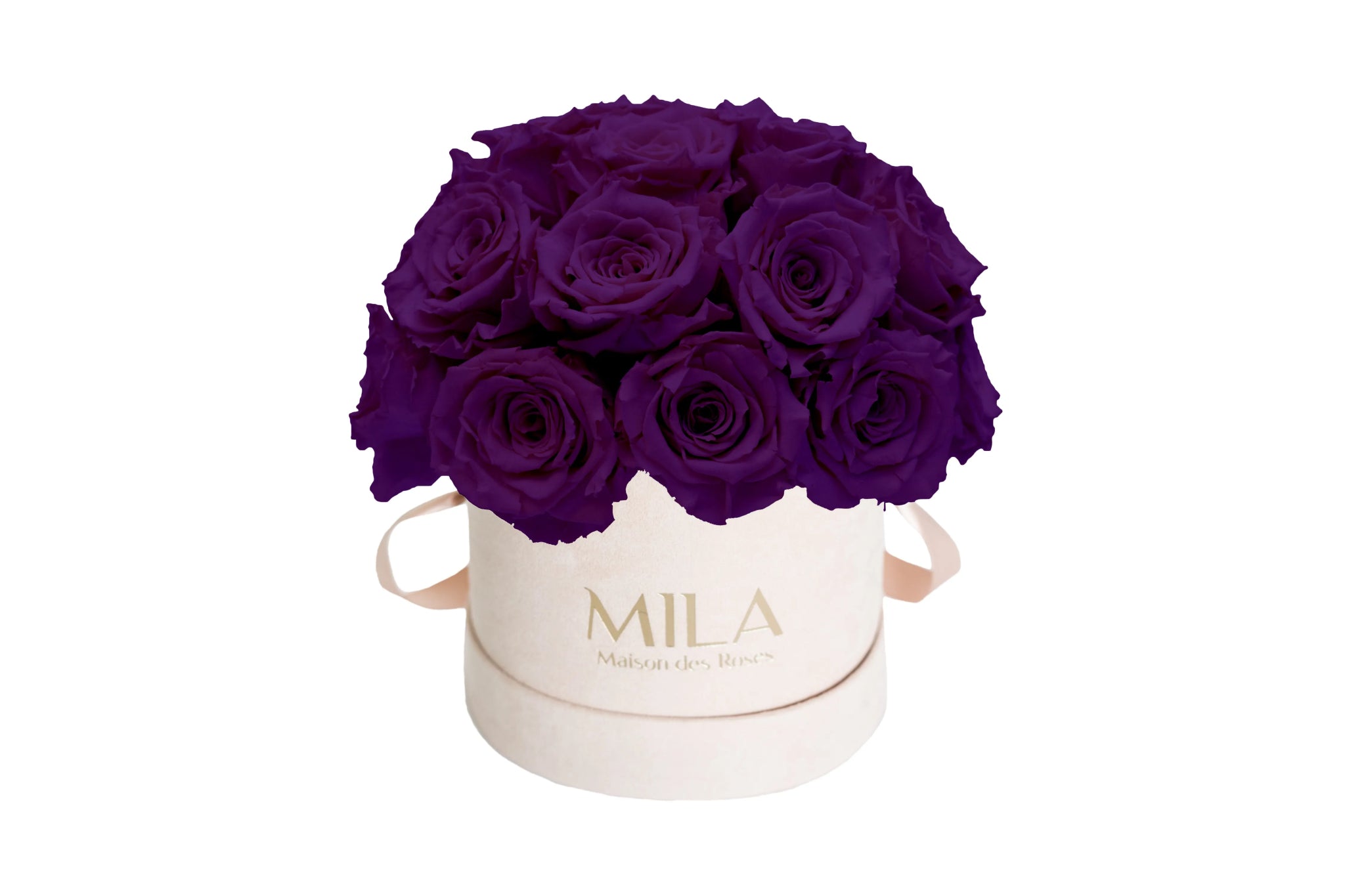 Mila Velours Small Dome Nude - Mila Rose