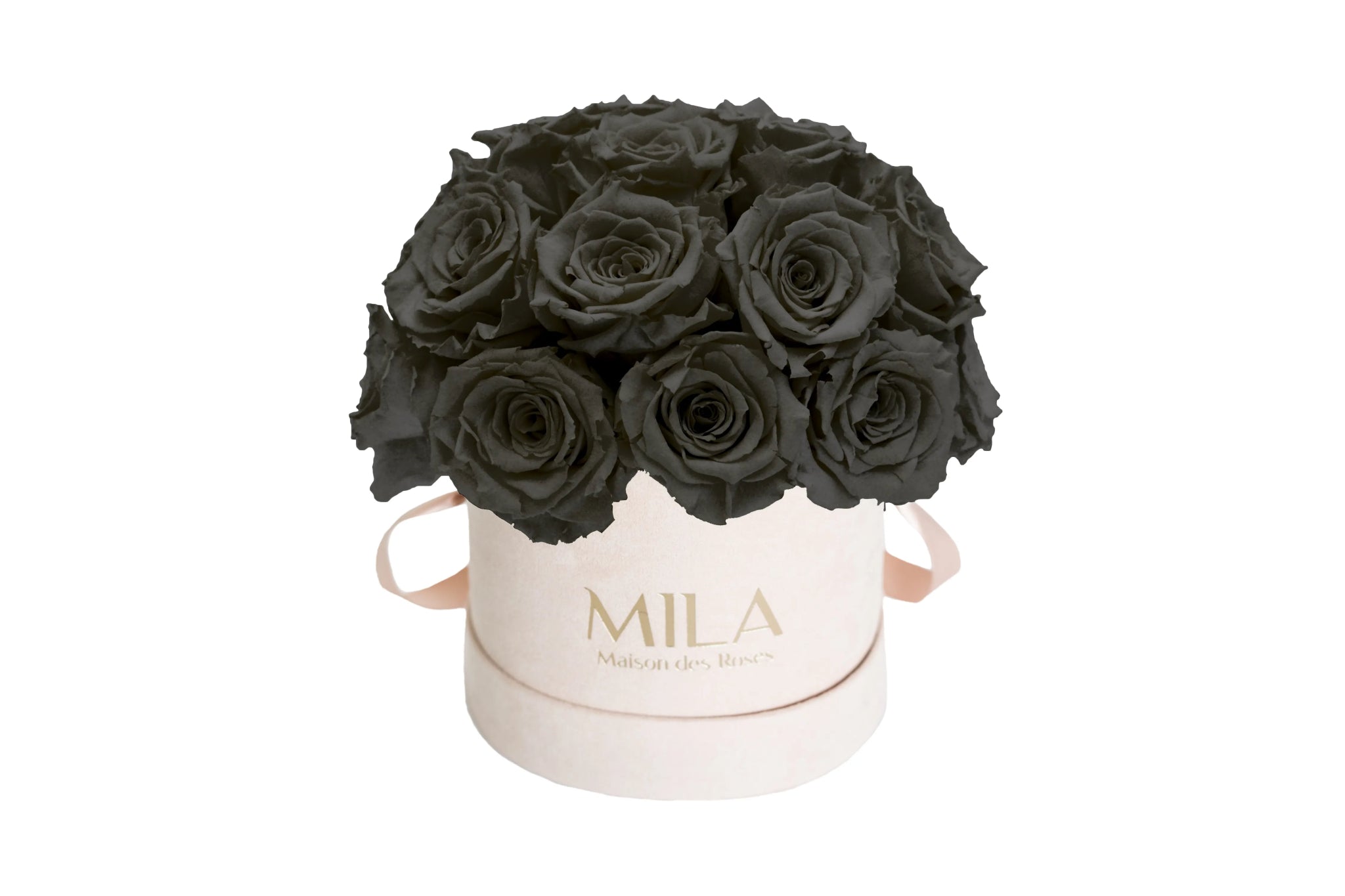 Mila Velours Small Dome Nude - Mila Rose