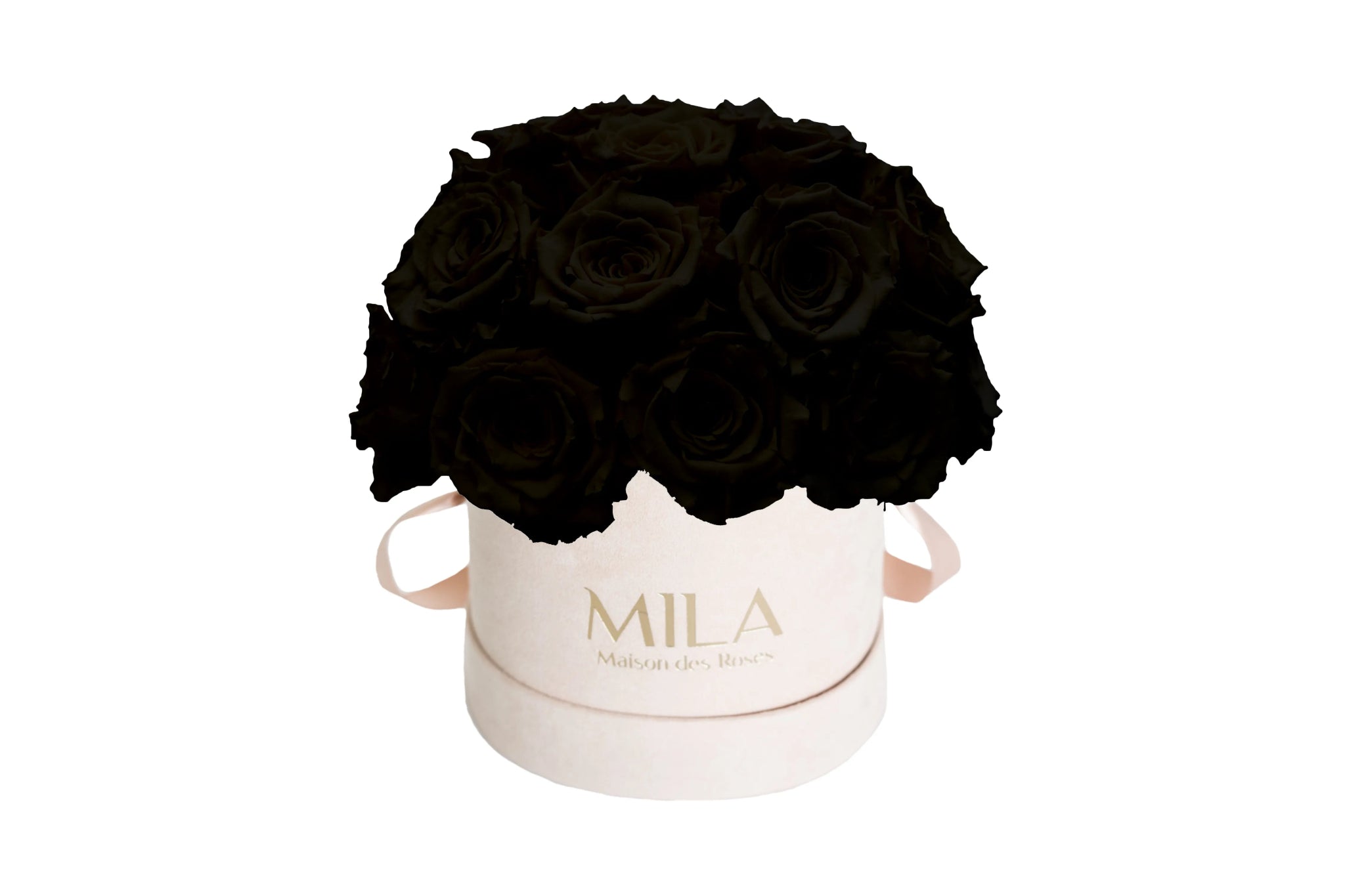 Mila Velours Small Dome Nude - Mila Rose