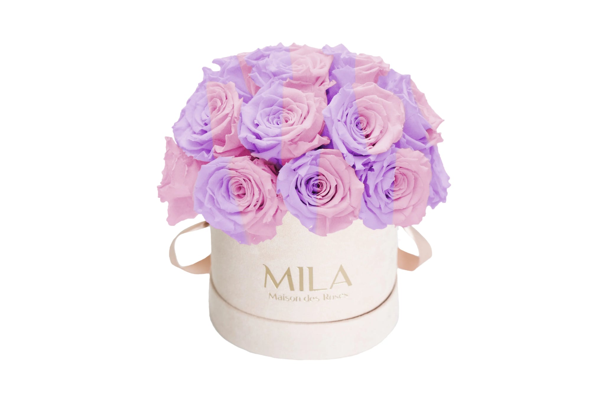 Mila Velours Small Dome Nude - Mila Rose