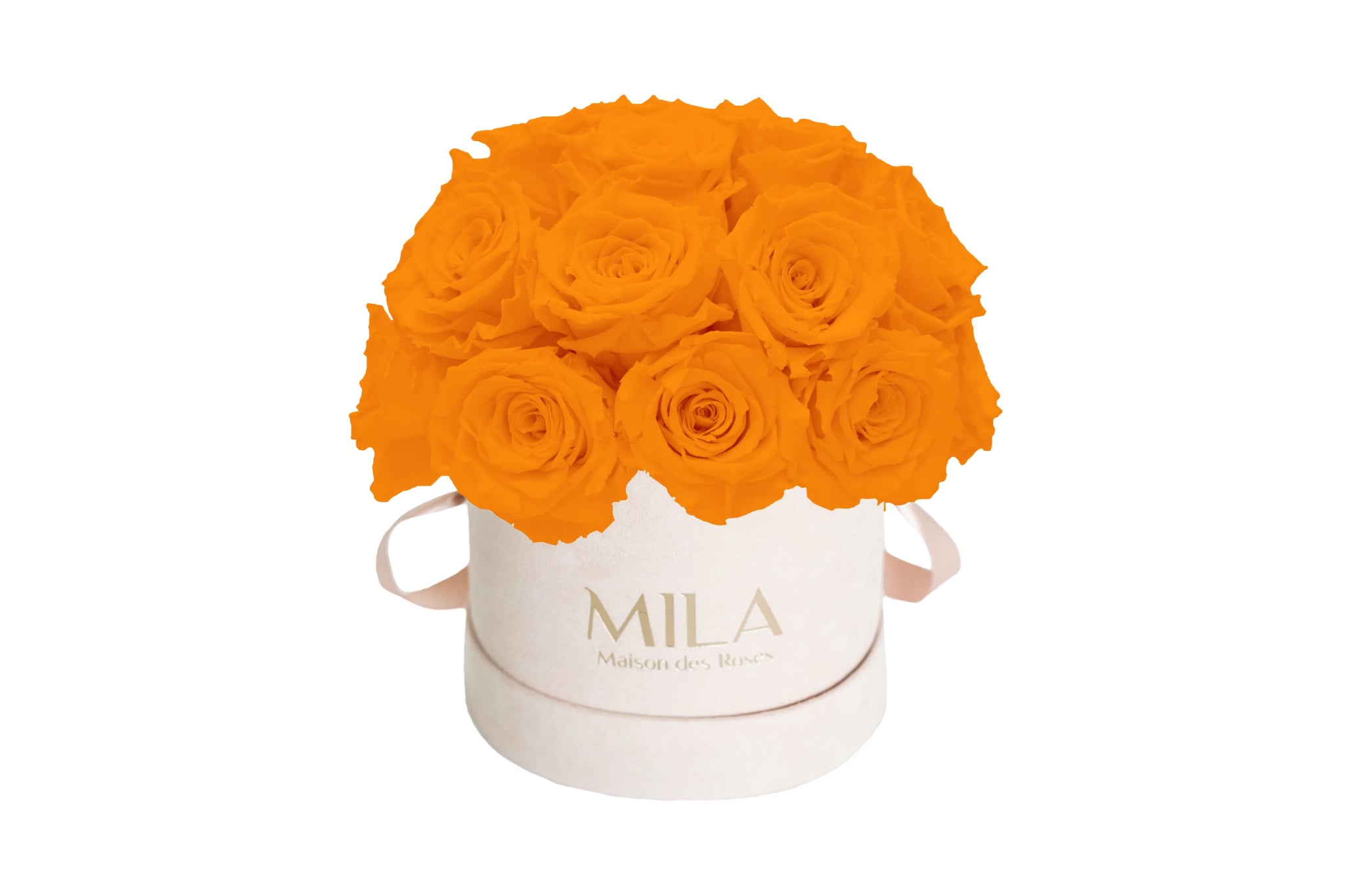 Mila Velours Small Dome Nude - Mila Rose