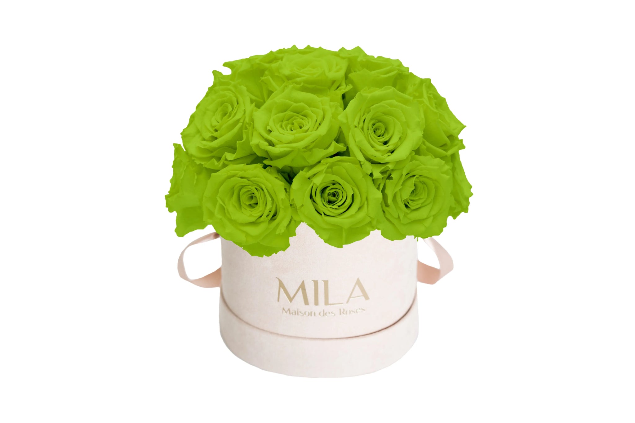 Mila Velours Small Dome Nude - Mila Rose