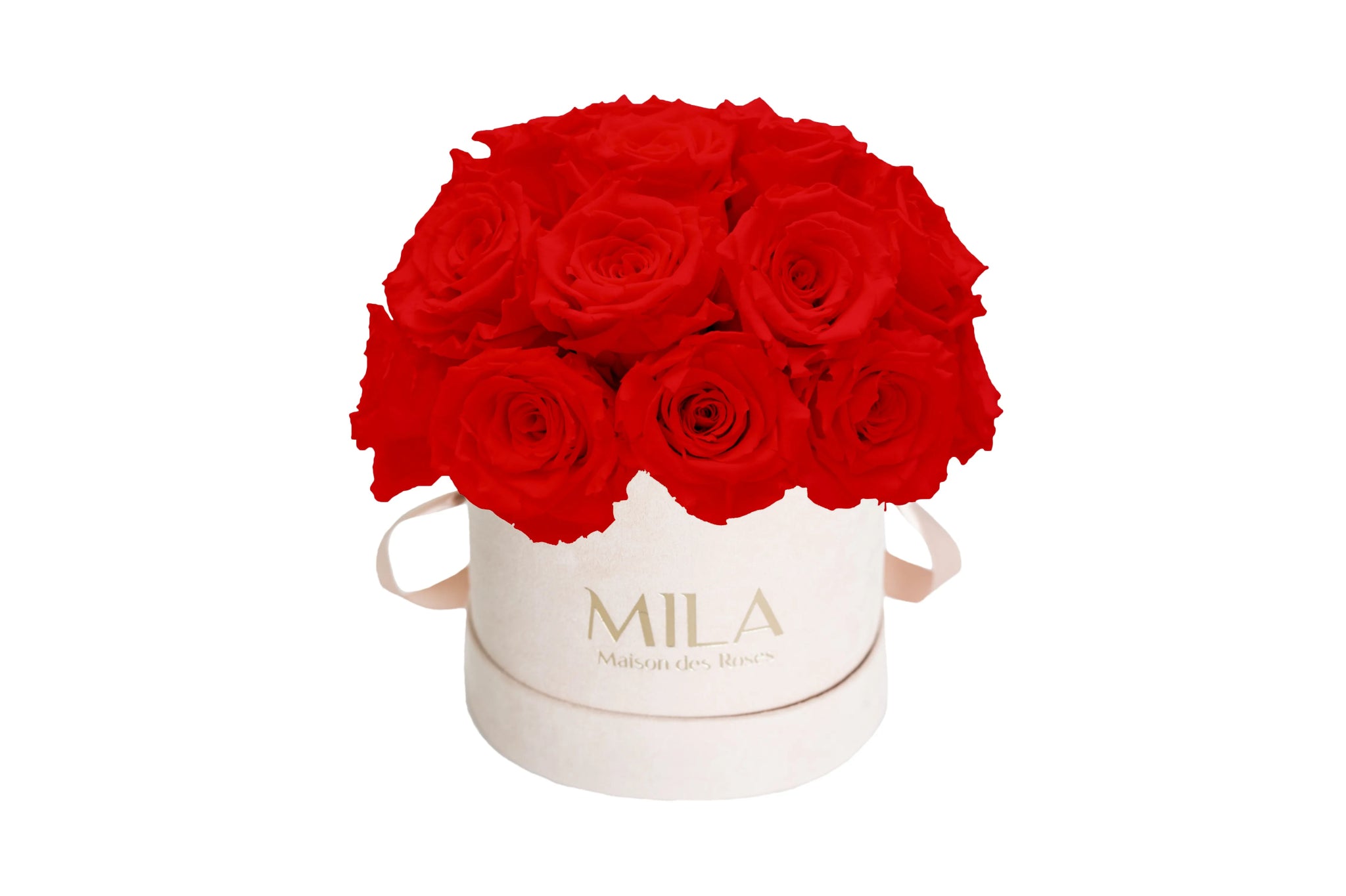 Mila Velours Small Dome Nude - Mila Rose