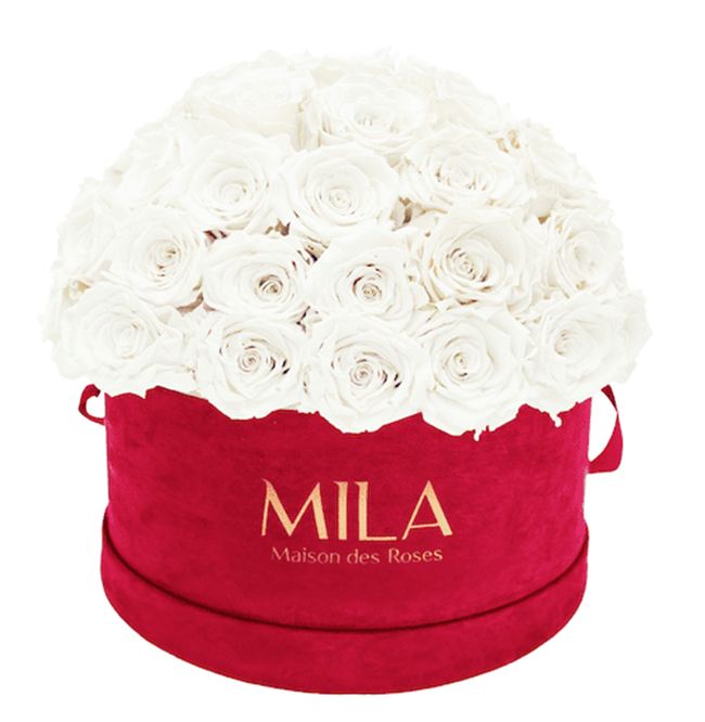 Mila Velour Large burgundy dome