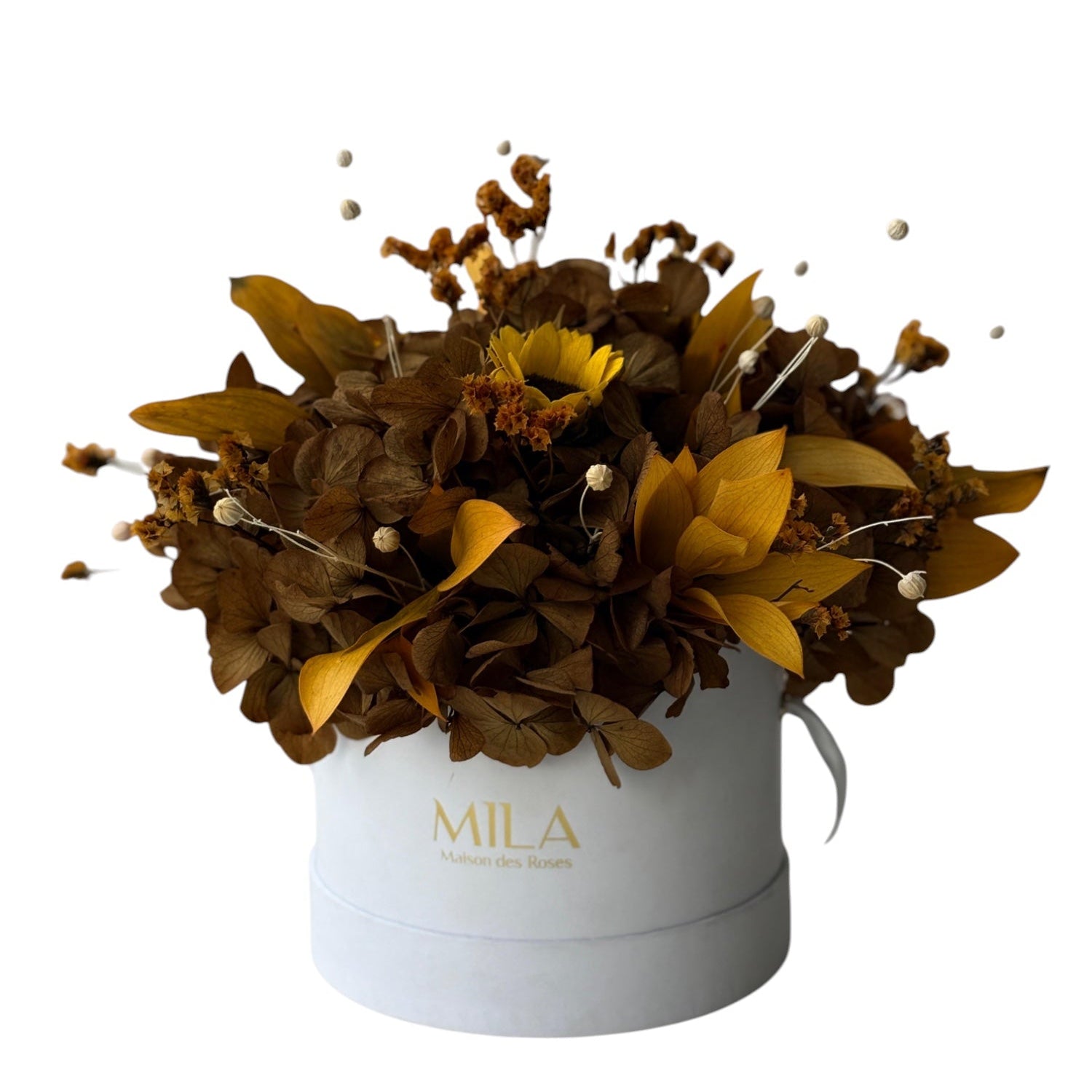 Small Hortensia - My Store