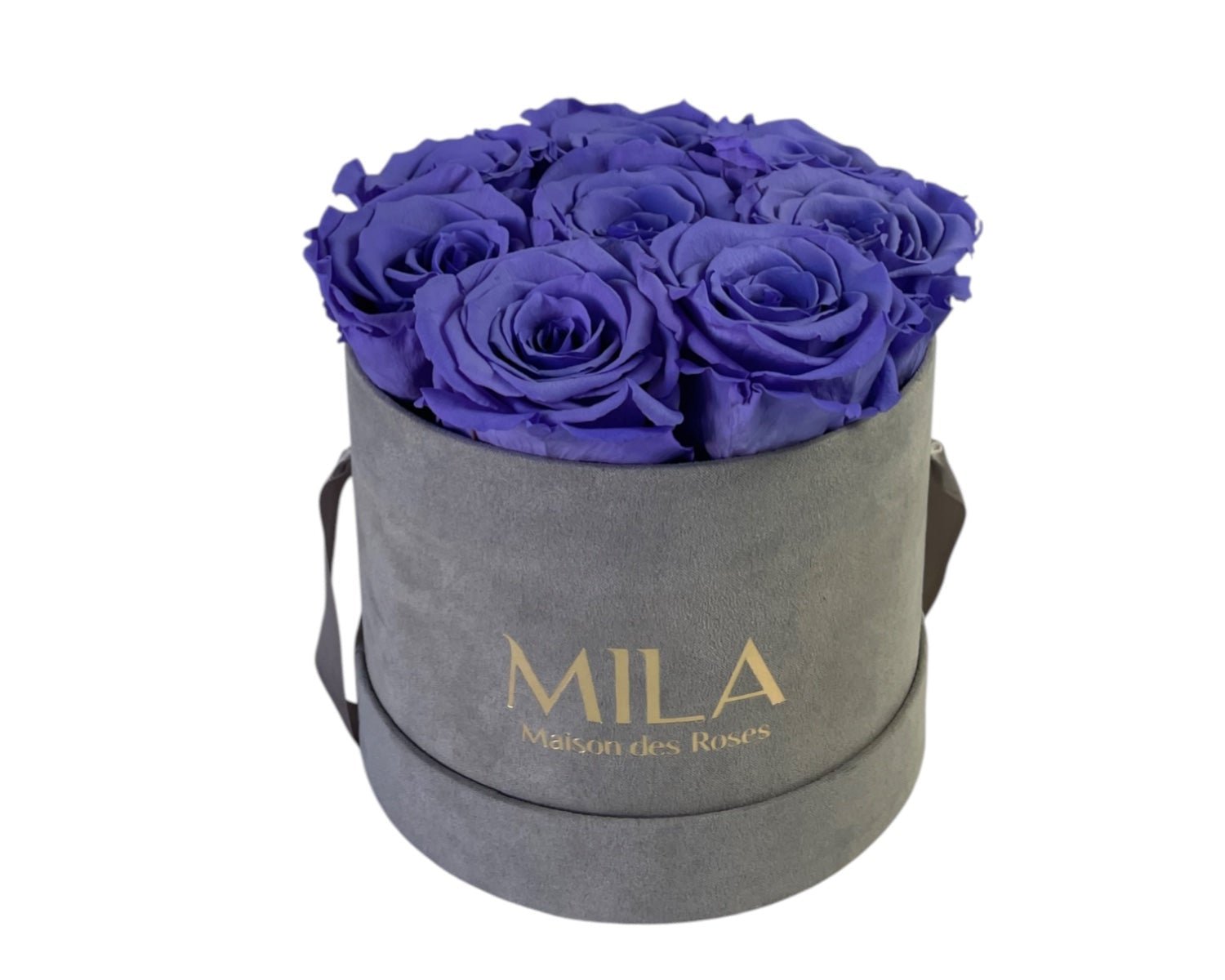 Small Velour Grey - My Store