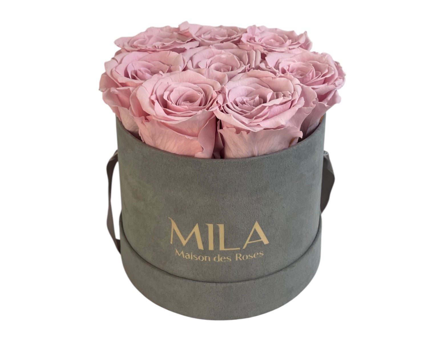 Small Velour Grey - My Store