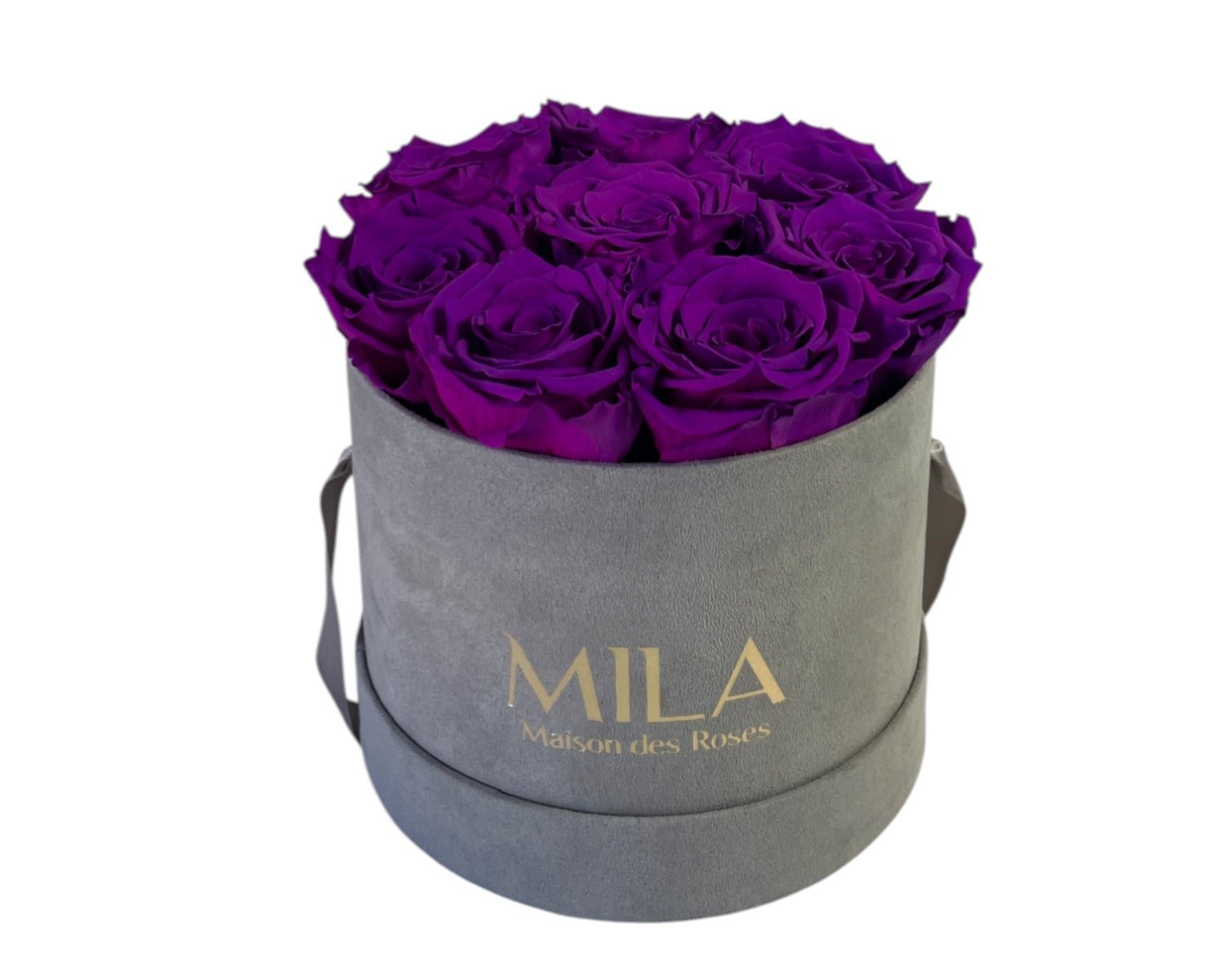 Small Velour Grey - My Store