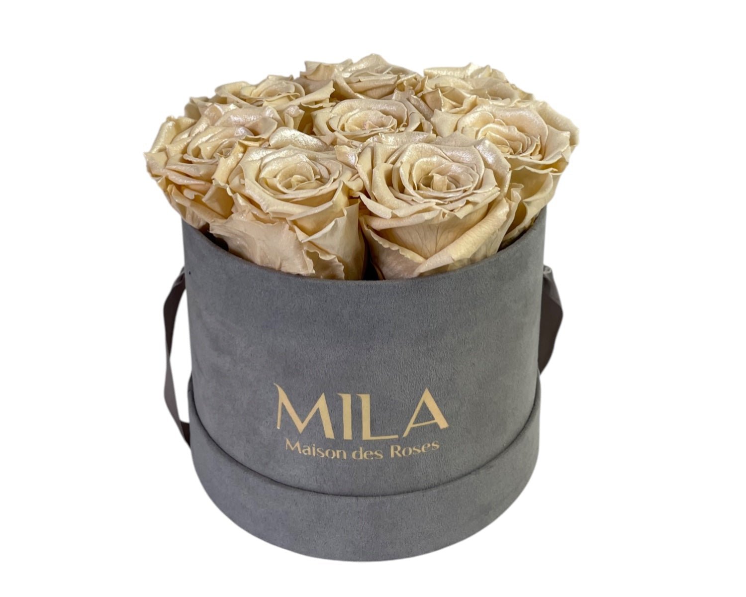 Small Velour Grey - My Store