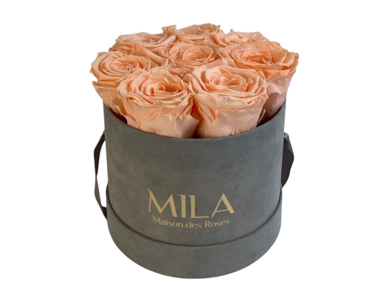 Small Velour Grey - My Store