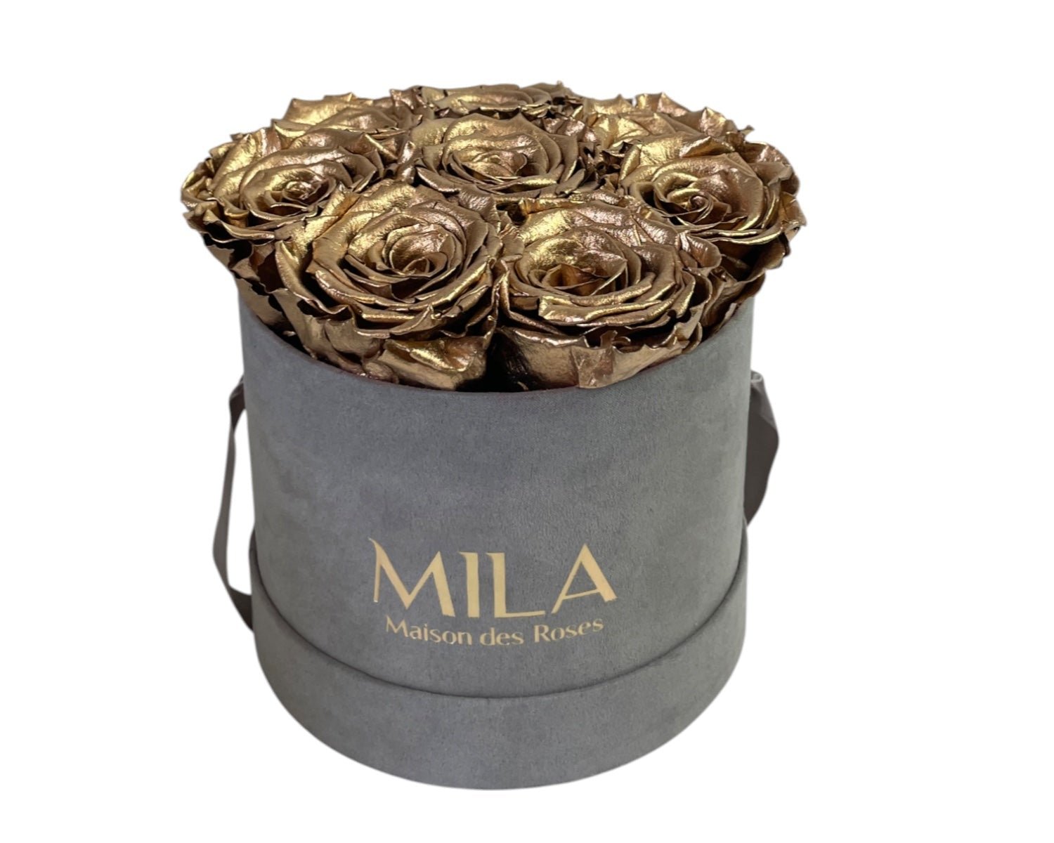 Small Velour Grey - My Store