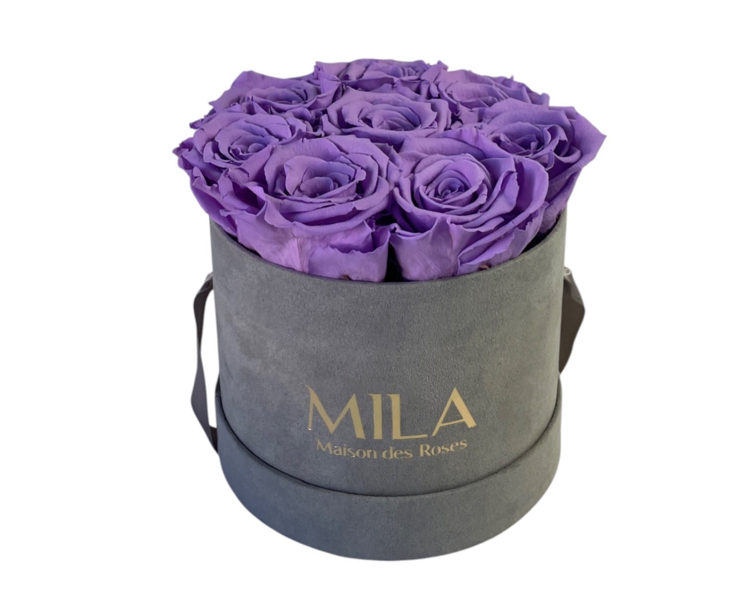 Small Velour Grey - My Store