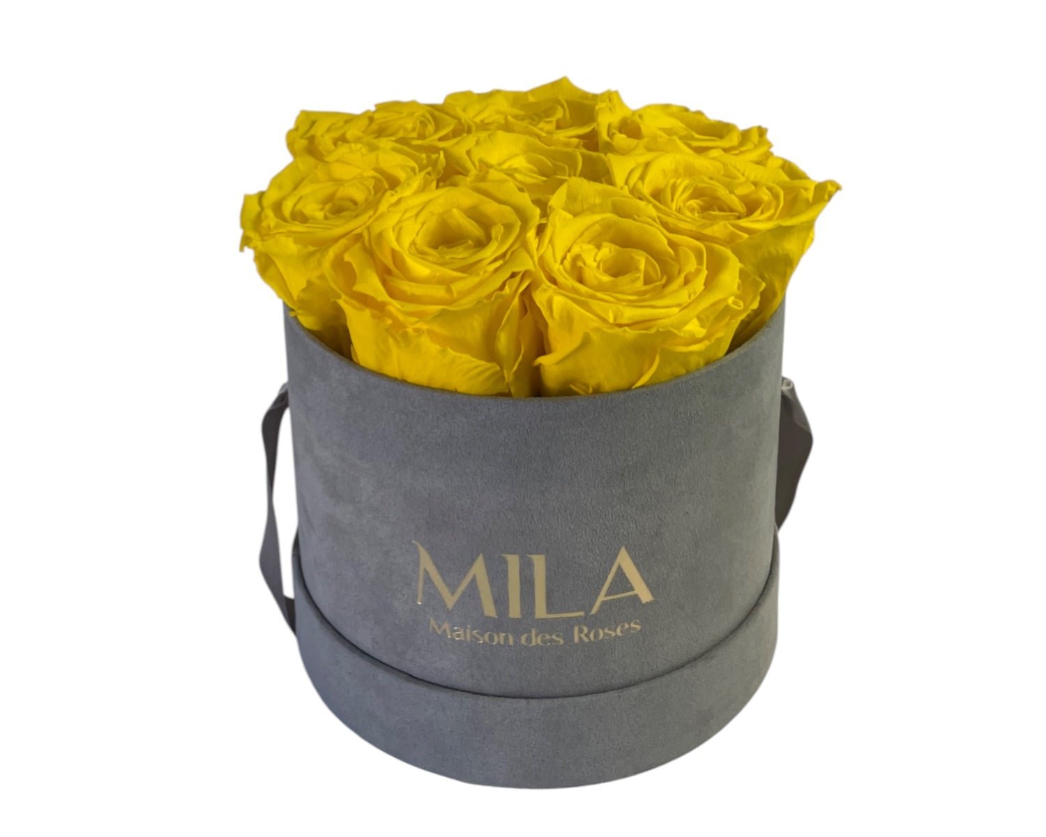 Small Velour Grey - My Store