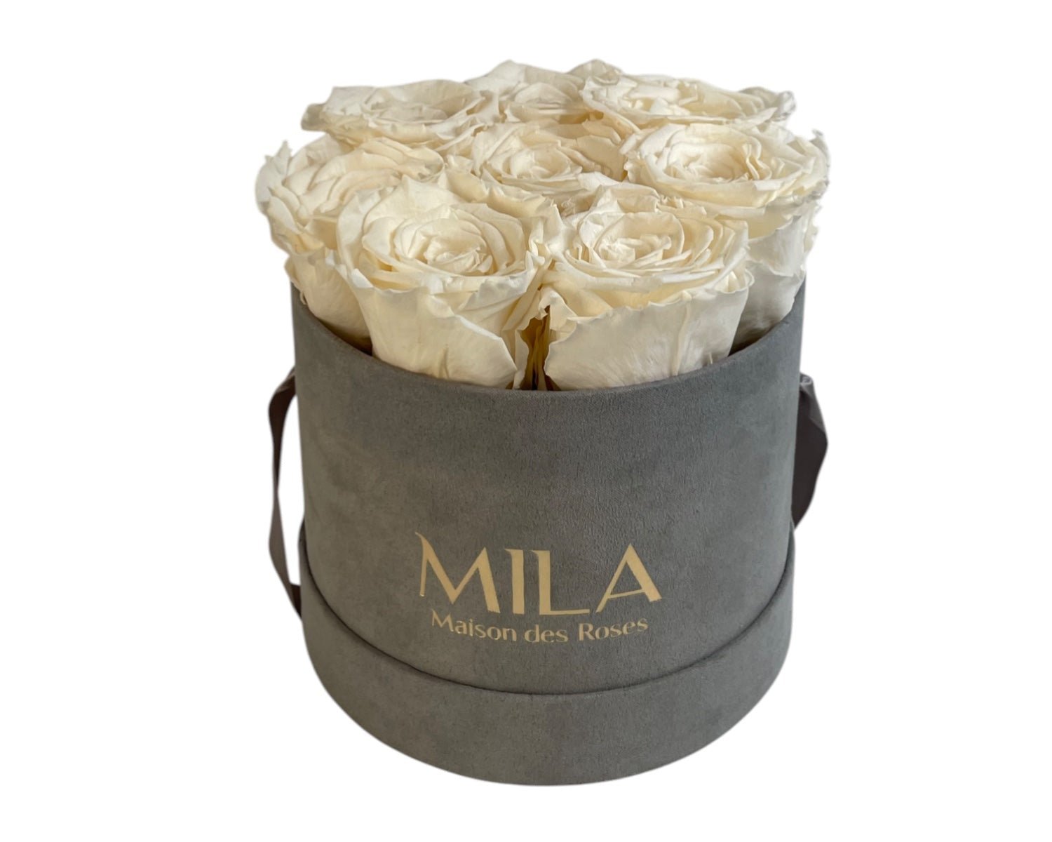 Small Velour Grey - My Store