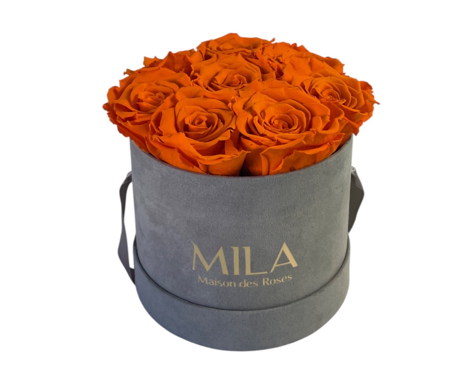 Small Velour Grey - My Store